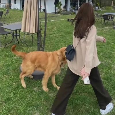 探索白蚁密室
